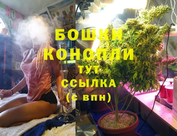 крисы Вяземский
