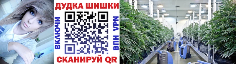 МАРИХУАНА LSD WEED Злынка